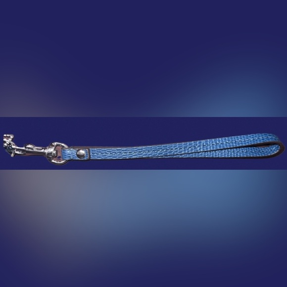 New Coach Sequin Kisslock Clutch Leather Wristlet Handle
New W/O Tag - Picture 11 of 12